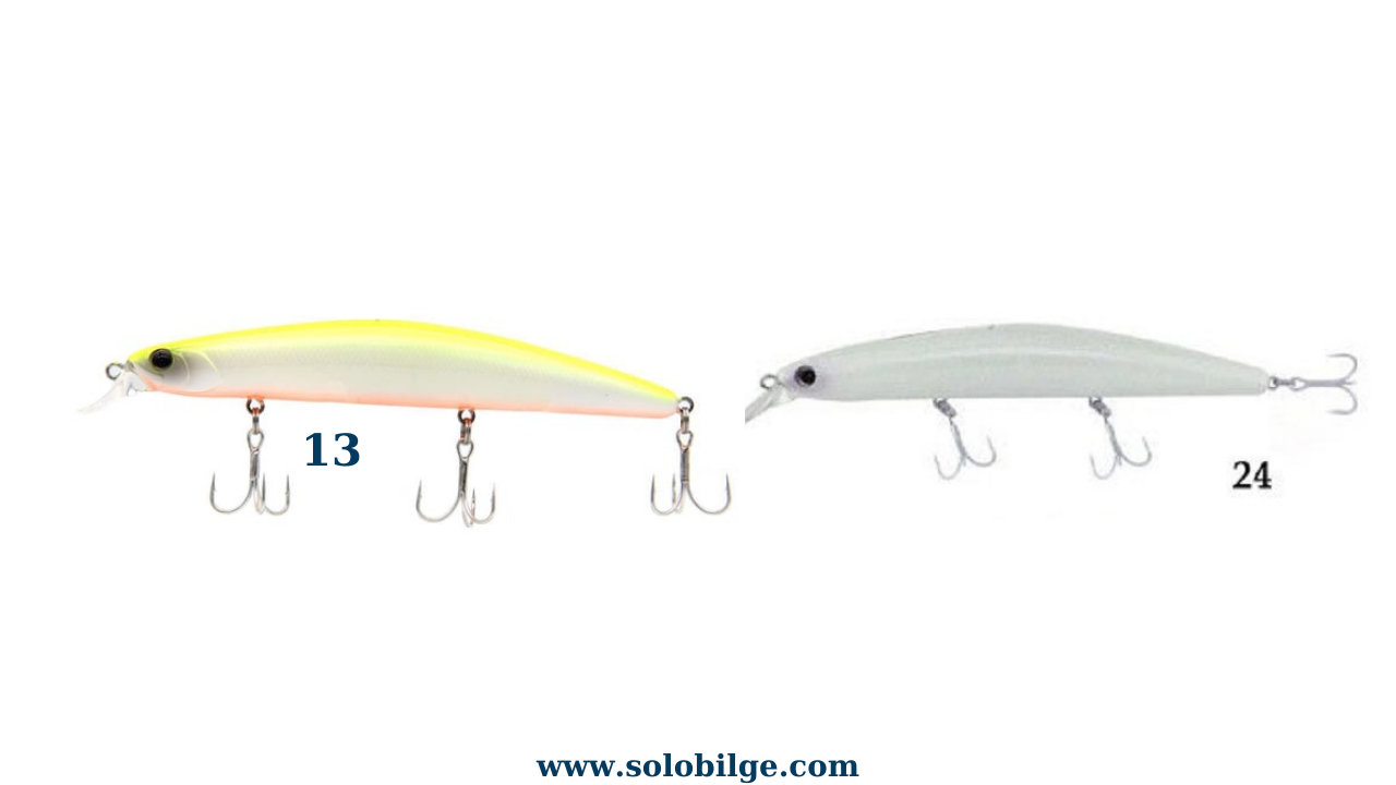 Kendo Seabass 125f 13 ve 24 Nolu Maketler Baracüda Sahte Öneri ve Tavisyesi